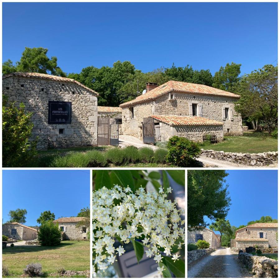 Les Fontanelles Du Quercy Blanc Villa Montcuq Kültér fotó