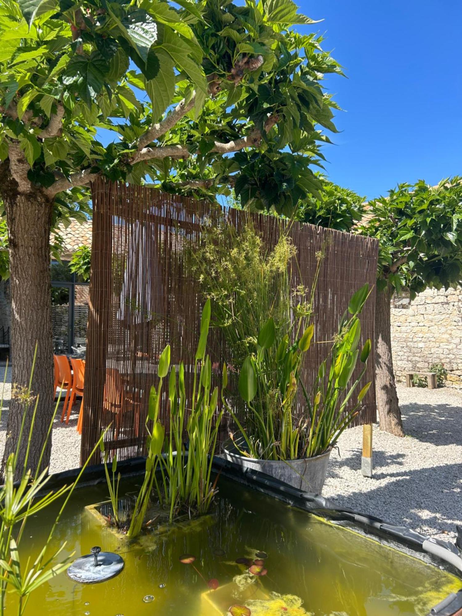 Les Fontanelles Du Quercy Blanc Villa Montcuq Kültér fotó